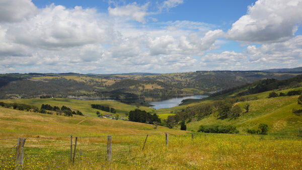 Blue Mountains and Beyond: A Journey Through Film Locations